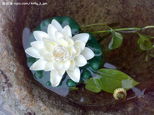 1620354101136692.jpg 1.jpg