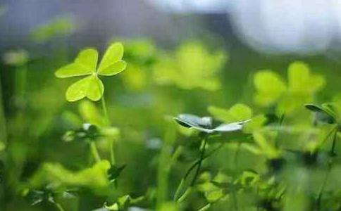 1620359280489402.jpg 35.jpg