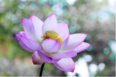 1620366322222393.jpg 57.jpg