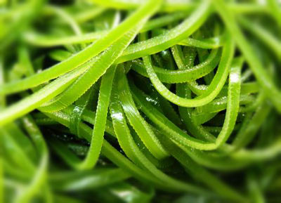 1620367089442580.jpg 33.jpg