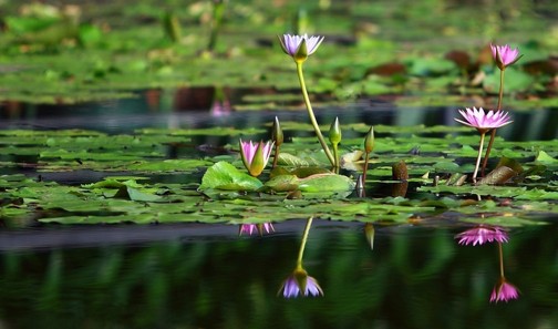 1620367148818968.jpg 2.jpg