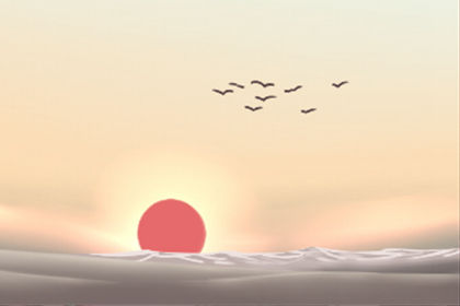 1620375452592629.jpg 11.jpg