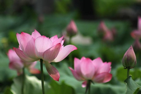 1620375862951755.jpg 24.jpg