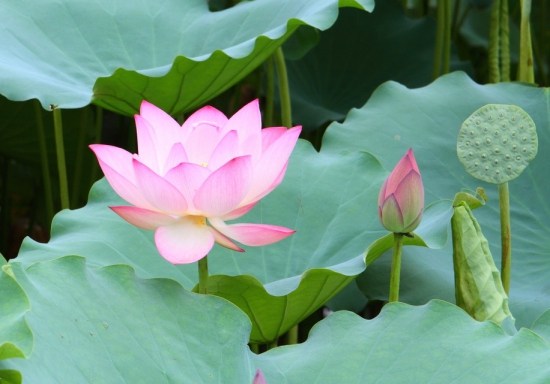 1620376357948346.jpg 2.jpg