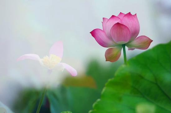 1620378189717512.jpg 4.jpg