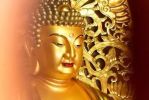 如何发至诚心、深心、回向发愿心