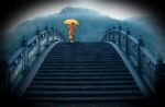 病不是吃素吃出来的
