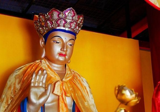 1620438645986213.jpg 2.jpg