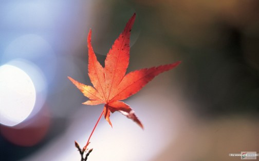 1620439559423249.jpg 30.jpg