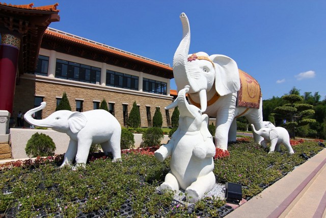 1620440106690676.jpg 7.jpg