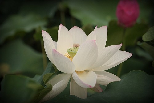 1620440400611742.jpg 18.jpg