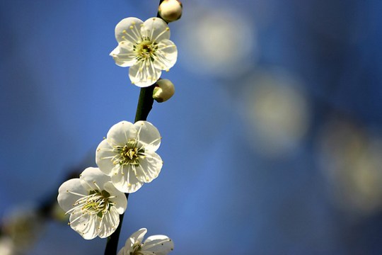 1620440548651821.jpg 21.jpg