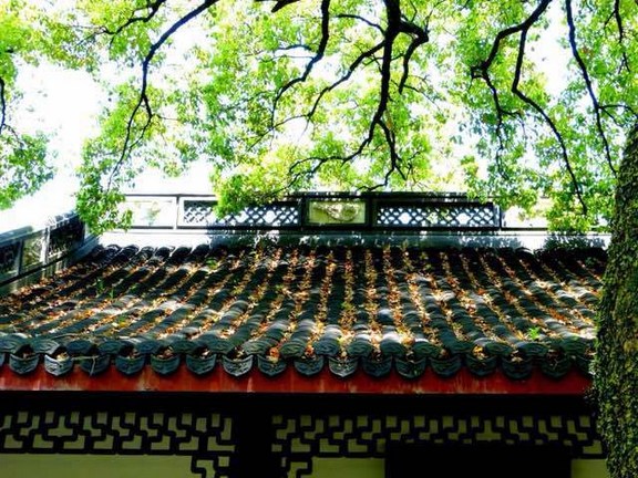 1620442553713114.jpg 42.jpg