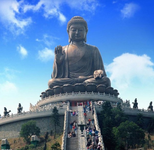 1620443957121600.jpg 13.jpg