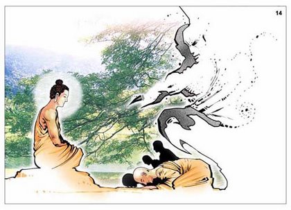 1620456552134370.jpg 23.jpg