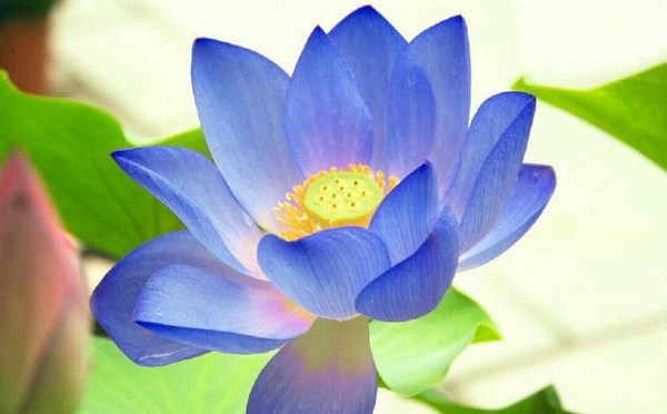 1620458422116643.jpg 35.jpg