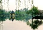 「无我」与「我慢」是什么关系