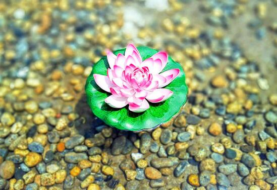 1620524087186385.jpg 47.jpg