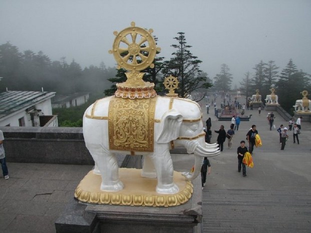 1620524789449853.jpg 1.jpg