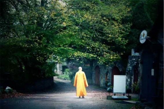 1620525171266189.jpg 19.jpg