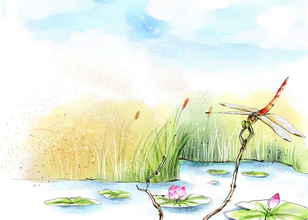 1620627345594862.jpg 4.jpg