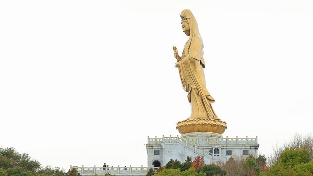 1620627519965382.jpg 11.jpg