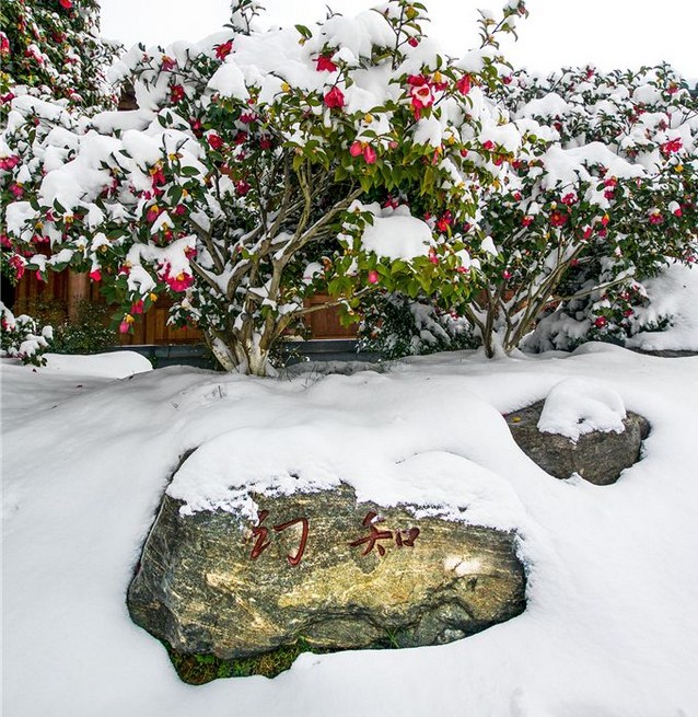 1620629036407736.jpg 55.jpg