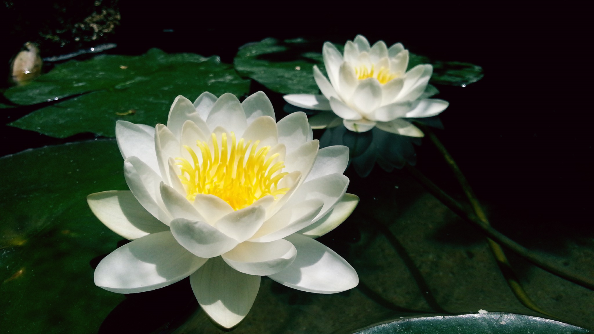 1620632191375143.jpeg 20140523153323_yWJc8.jpeg