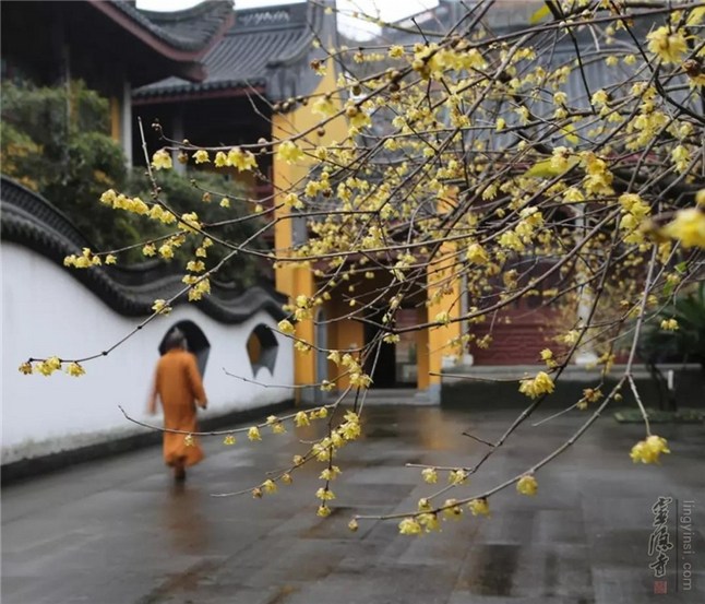 1620637431596489.jpg 48.jpg