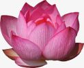 替家人忏悔业障病的方法丨发愿之福不可思议