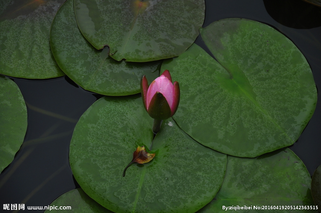 1620693731733737.jpg 49.jpg