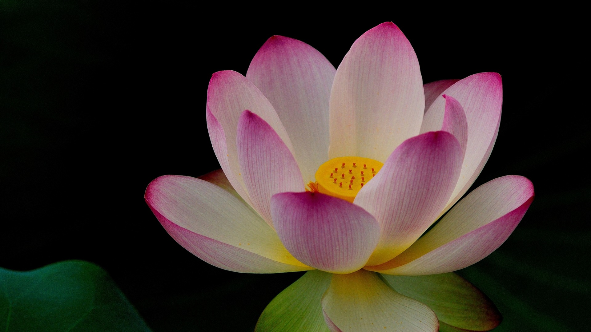 1620699885328318.jpg 56f8d2f19828c.jpg