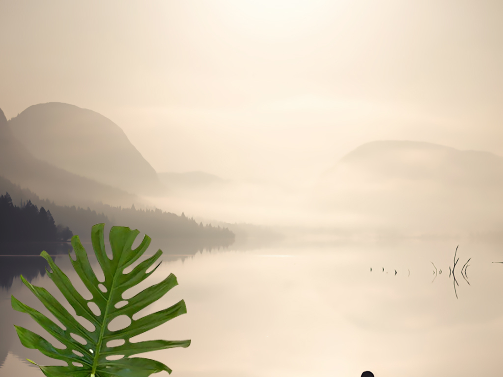 1620712709834231.jpg 15744475-8ab2c9c1d841d43f636db418bee00797-0.jpg