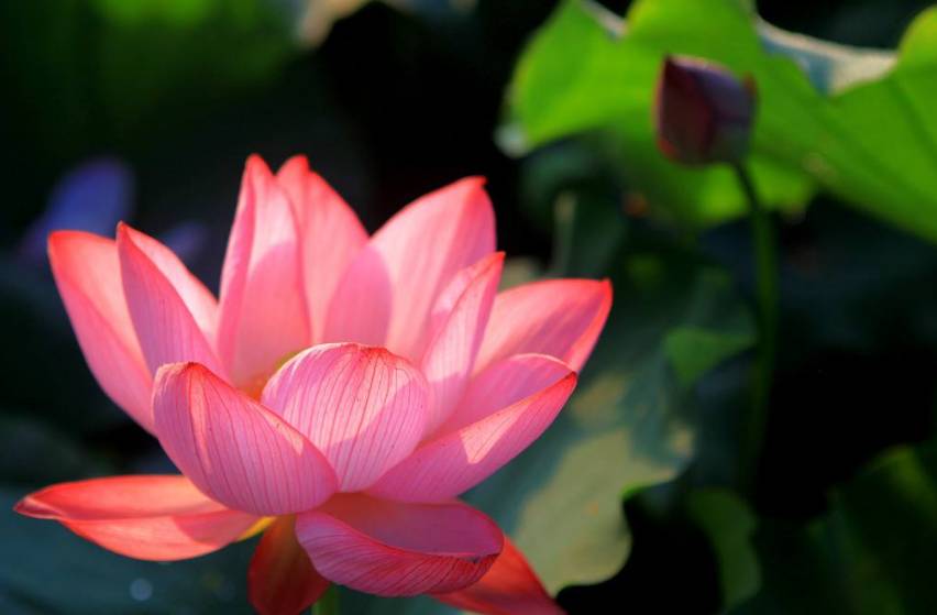 1620713380456996.jpg 010f2ca863204032ab292bf2fb0452af_th.jpg