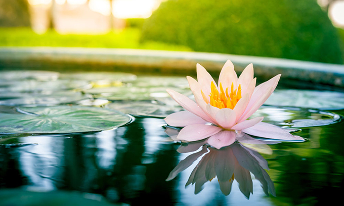 1620717502342819.jpg 7903dc33e15a7068eff6d1738185c7f0.jpg