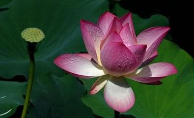 1620718379840836.jpg af18b9277f724c2b8fae5b5904675b5a20161217220348.jpg