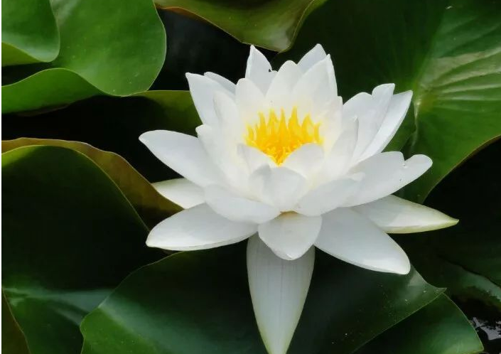 1620718683734672.png 微信图片_20210511101701.png