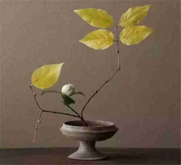 1620719808290802.jpg 0010167685.jpg