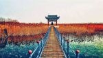 一分钟智慧(三个故事)
