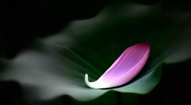 1620787184673659.png 微信图片_20210512102223.png