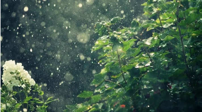 1620788212473716.png 微信图片_20210512102242.png