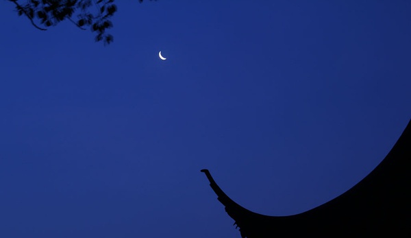 1620789997458843.jpg p19304853.jpg