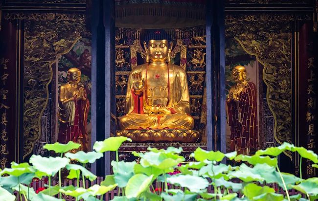 1620806907946363.jpg 133.jpg