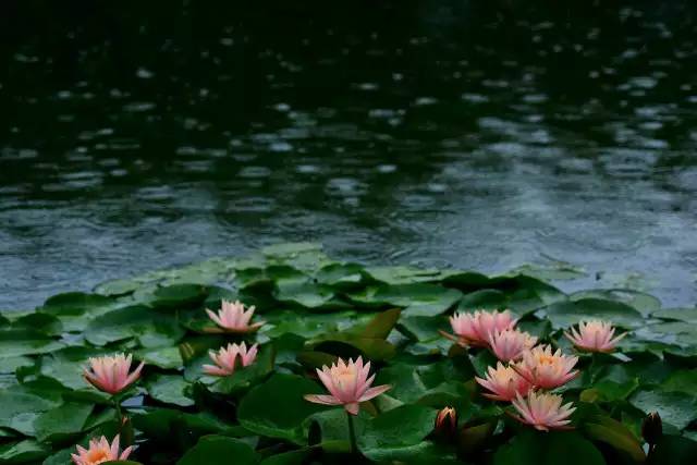 1620807152546115.jpg 14388415582750.jpg