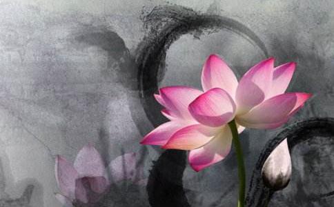 1620807389739393.jpg 34.jpg