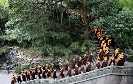 1620807541766823.jpg 5.jpg