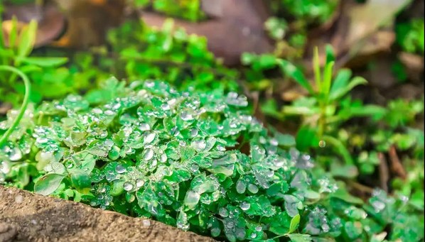 1620807571872911.jpg 33.jpg