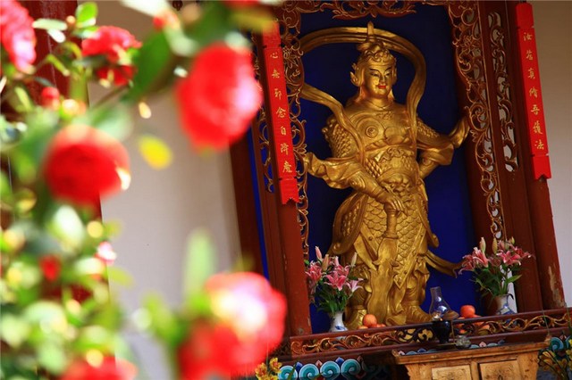 1620807808407368.jpg 83.jpg