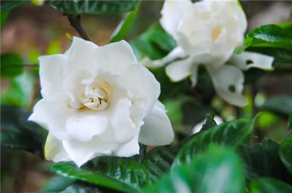 1620807820902253.jpg 80.jpg