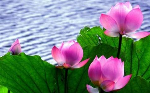 1620808628668117.jpg 17.jpg